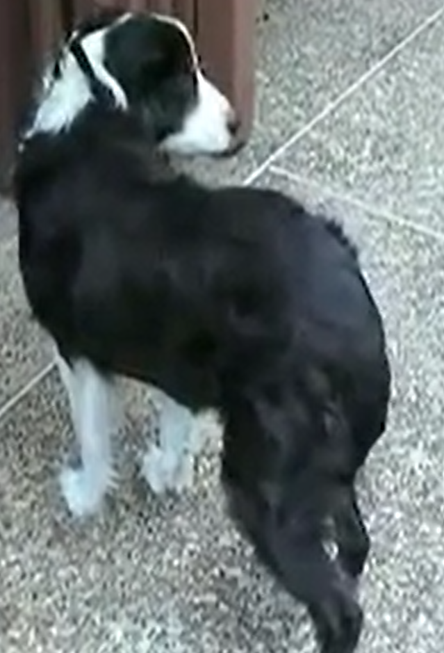 šest týdnů po léčbě